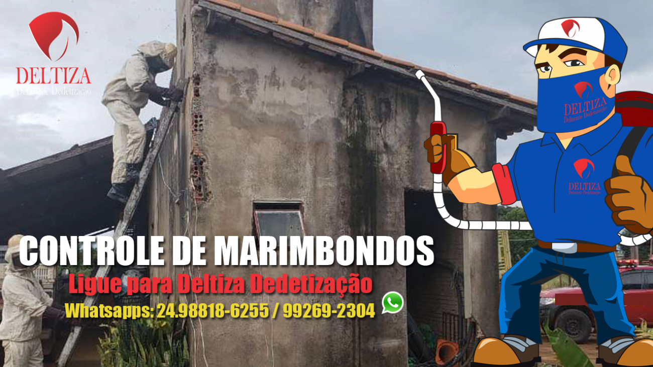 Controle de Marimbondos